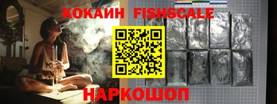индика Моздок