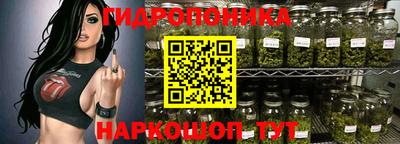 индика Моздок