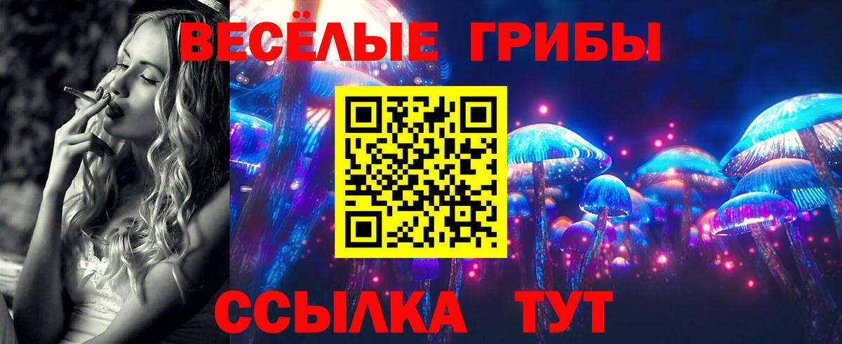 Галлюциногенные грибы прущие грибы Верхняя Пышма