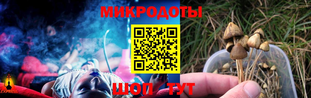 Галлюциногенные грибы Psilocybine cubensis  Вход с VPN  Верхняя Пышма 
